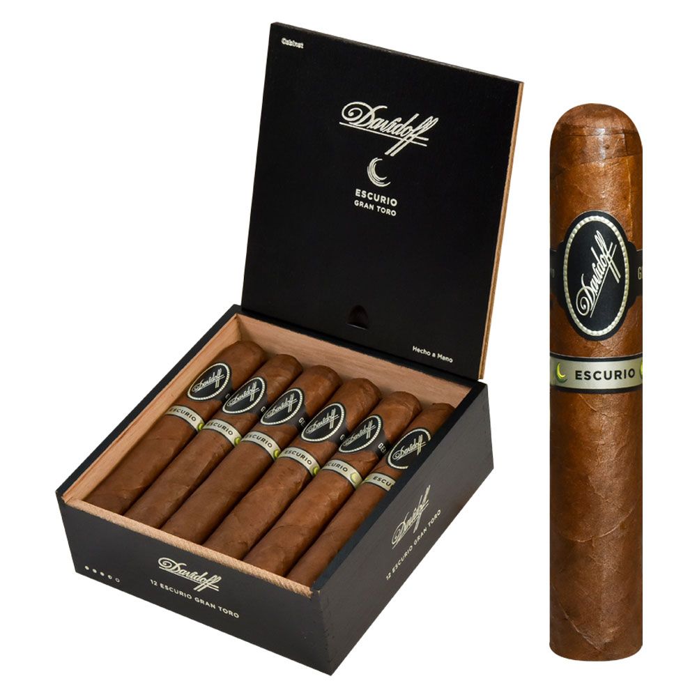 ESCURIO GRAN TORO (12)