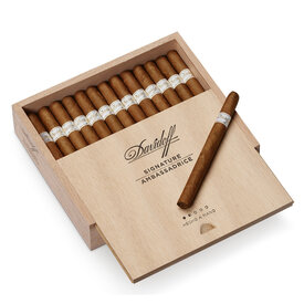  Sign Ambassadrice  25s